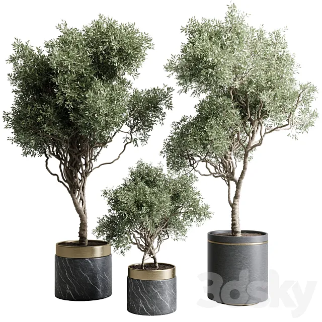 Tree in a marble pot – indoor plant 565 3ds Max