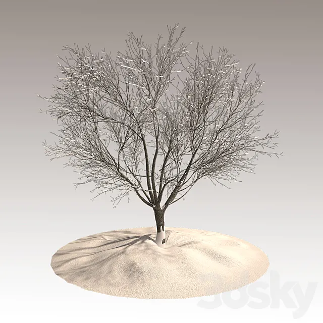 Tree in winter 3DSMax File