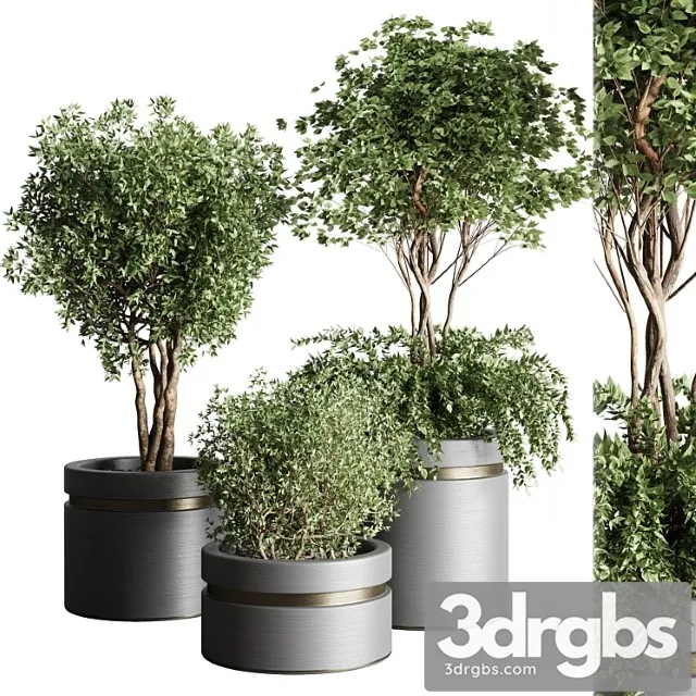 Tree Pots and Shrubs Bush Collection 74 Metal Vase For Outdoor Indoor 3dsmax Download
