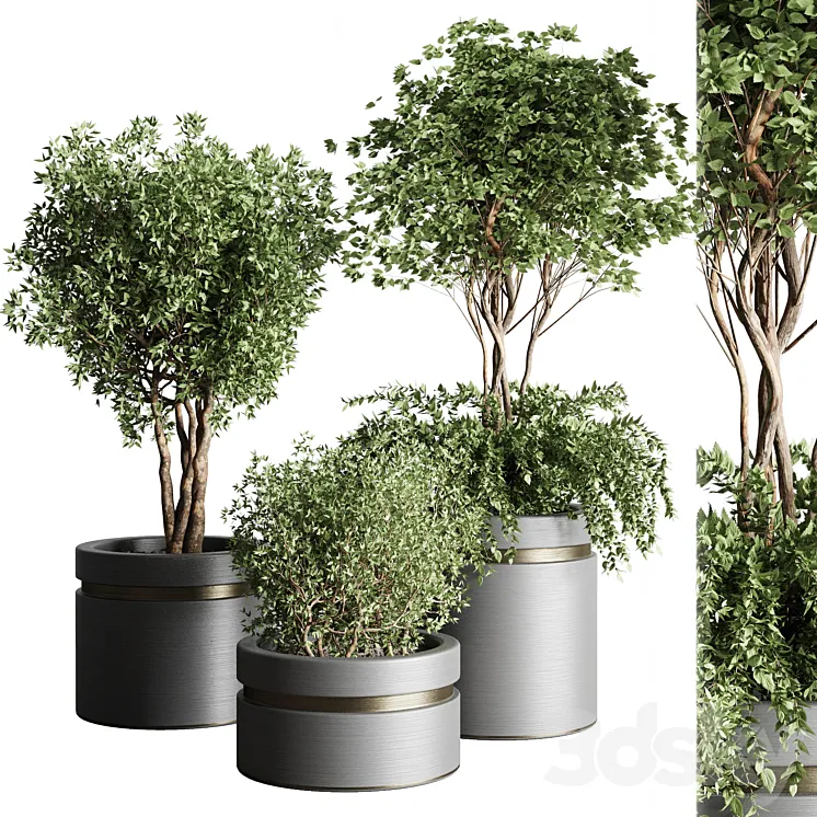 Tree pots and shrubs-bush collection 74 metal vase for outdoor indoor 3DS Max