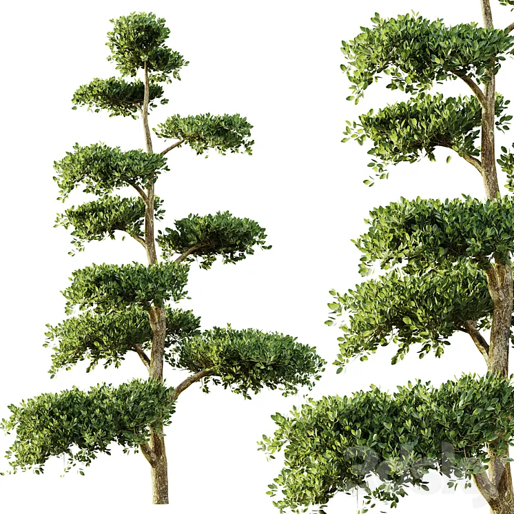 tree set 04 3DS Max Model