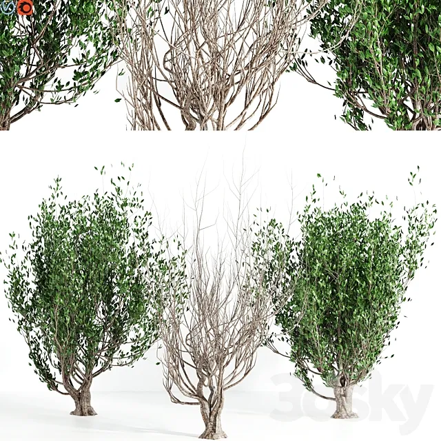 Tree set 04 3dsMax Model