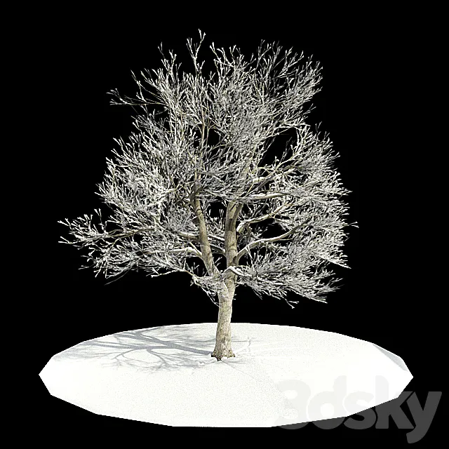 tree-snow _ tree in snow 3DSMax File