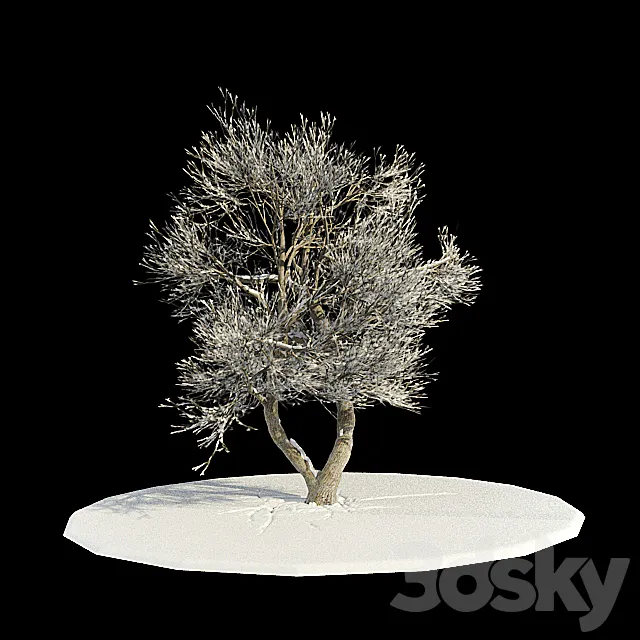 tree-snow v3 _ tree in snow v3 3DSMax File