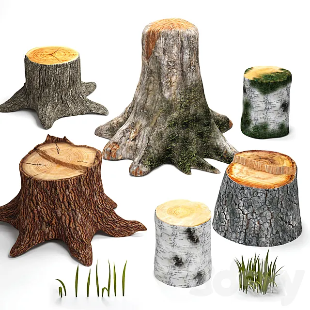 Tree stumps collection & grass 3DS Max Model