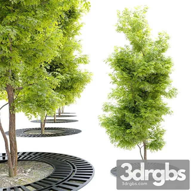 Tree With Metal Grate 3dsmax Download
