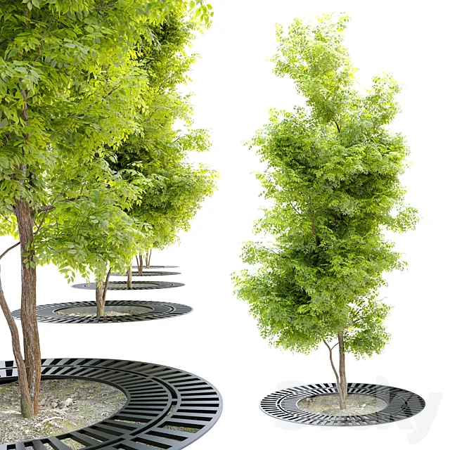 Tree with metal grate 3DS Max Model