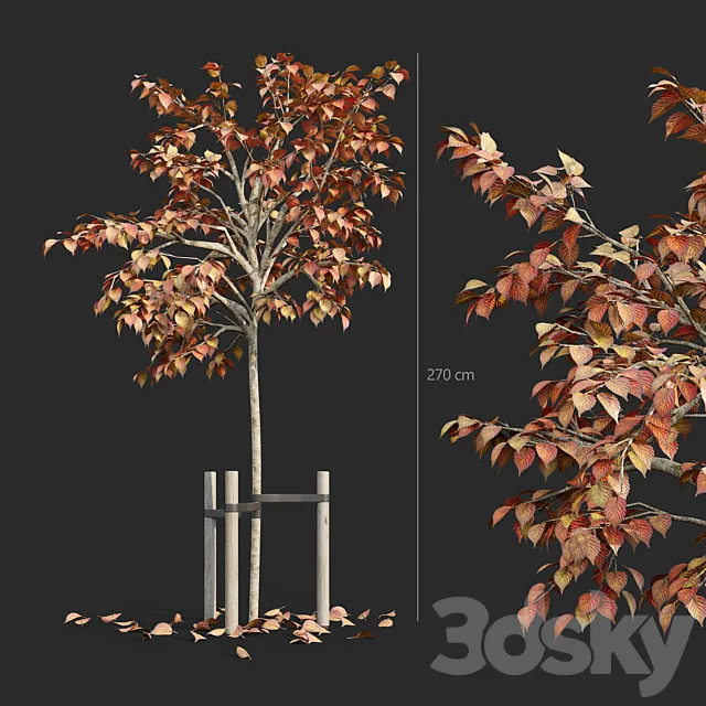 Tree with stake 01 3DSMax File