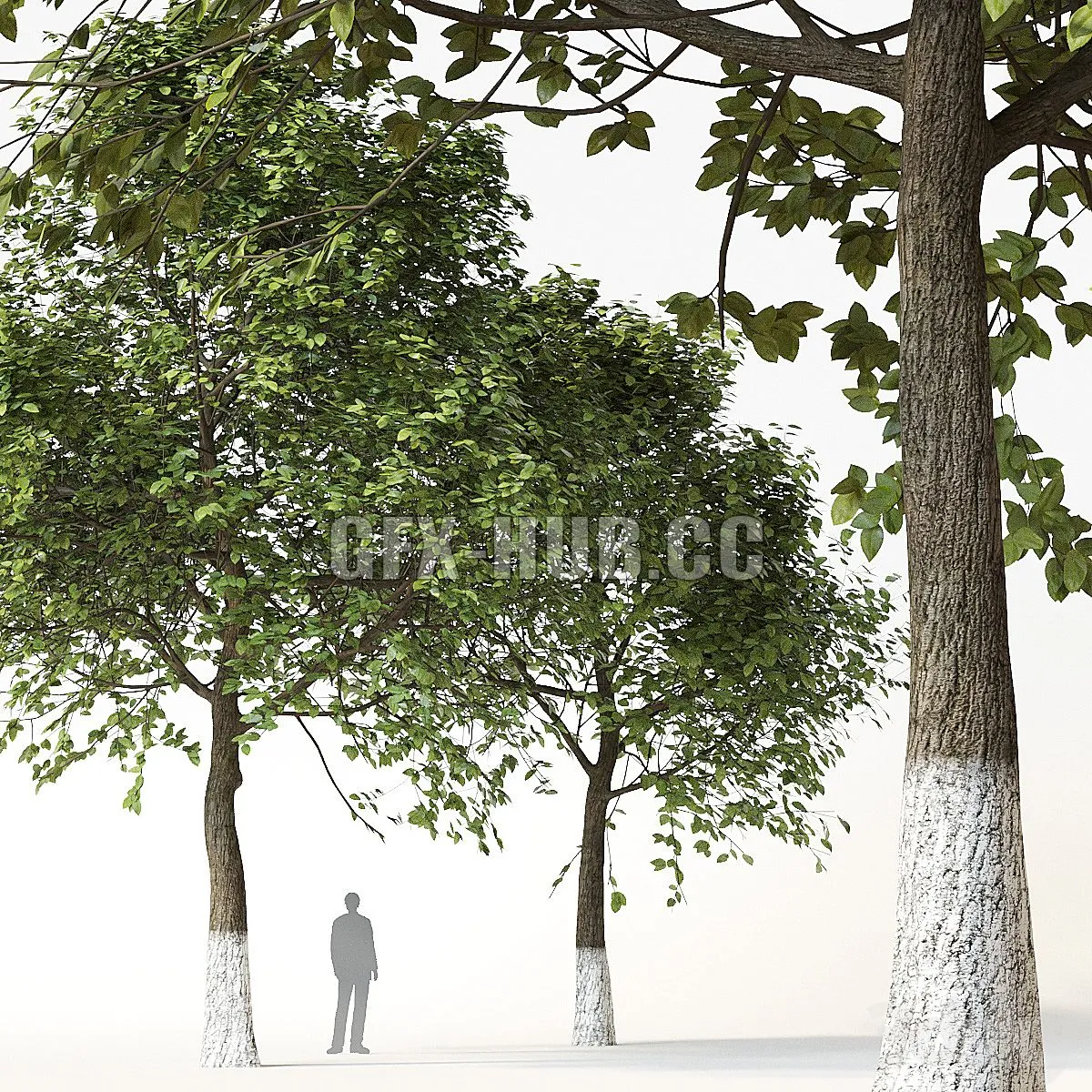 Trees 2 3dsMax Model