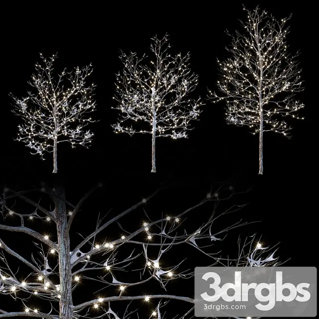Trees in the snow with a luminous garland
