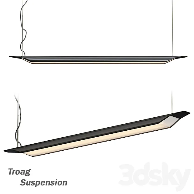 Troag suspension lamp 3ds Max