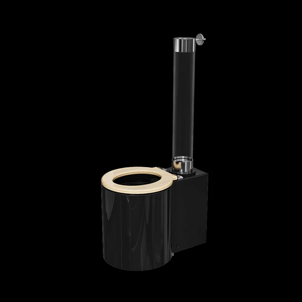 Trone – Toilet Icone 01 3ds Max