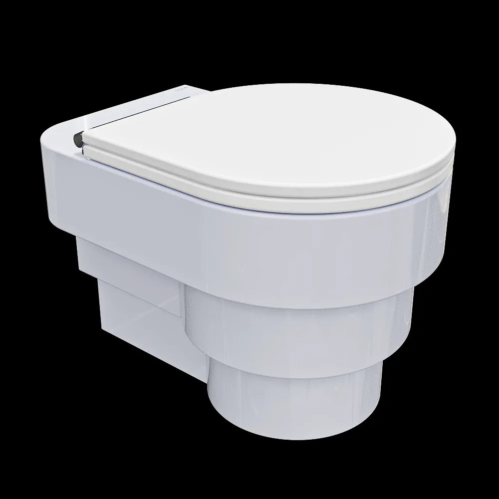 Trone – Wall-hung toilet Callipyge 3ds Max