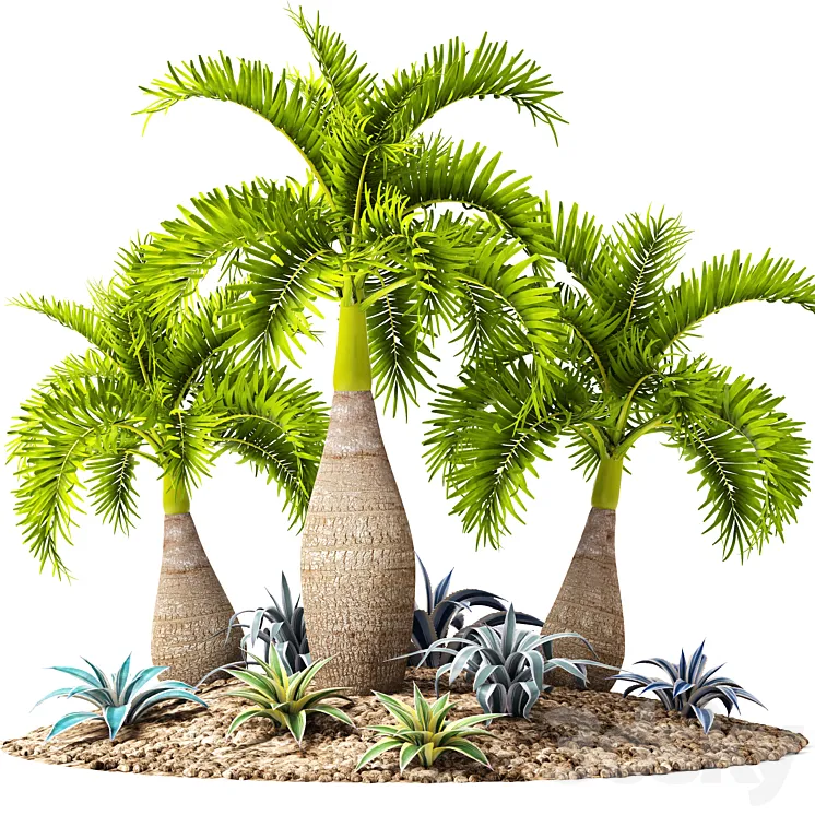 Tropical garden flowerbed landscaping agave thicket tropical exotic palm 3DS Max