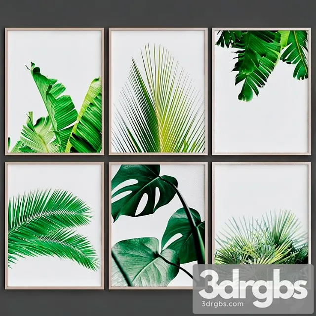 Tropical leaves 3dsmax Download