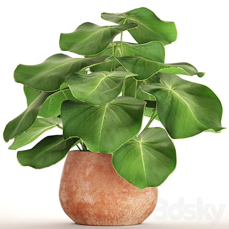 Tropical potted plant flower flowerpot small plant clinker clay 3DS Max