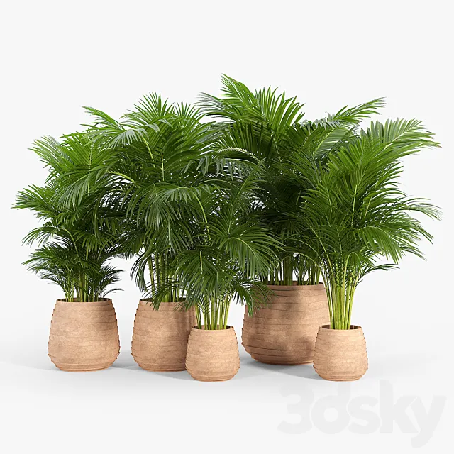 Tula Planter Collection 3ds Max