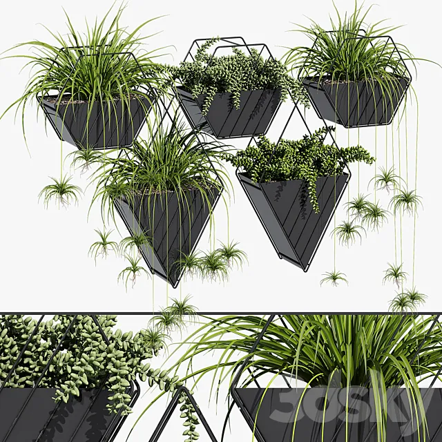 Tulan hanging planter 3DS Max Model