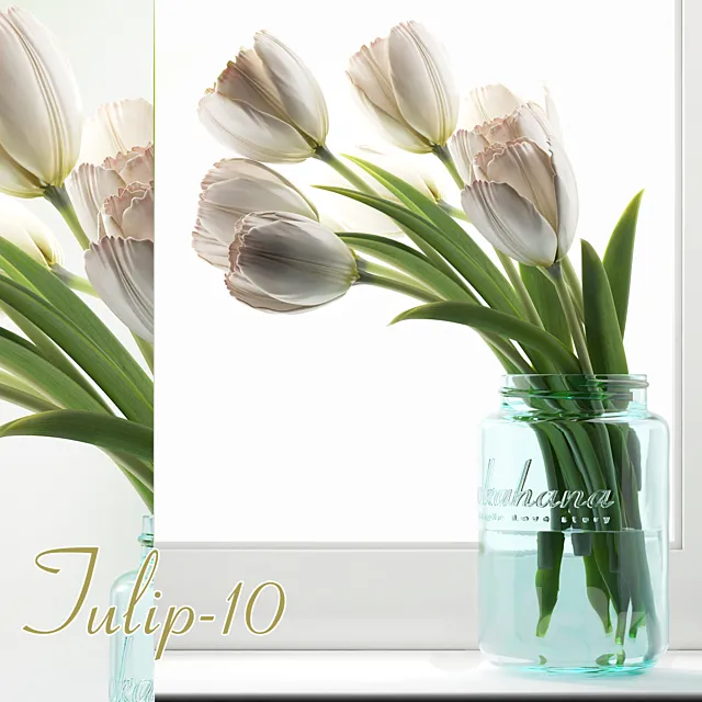 Tulip 10 3DSMax File