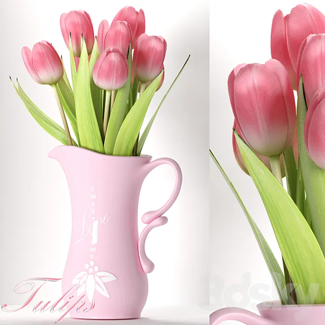 TULIP 8 3DS Max Model