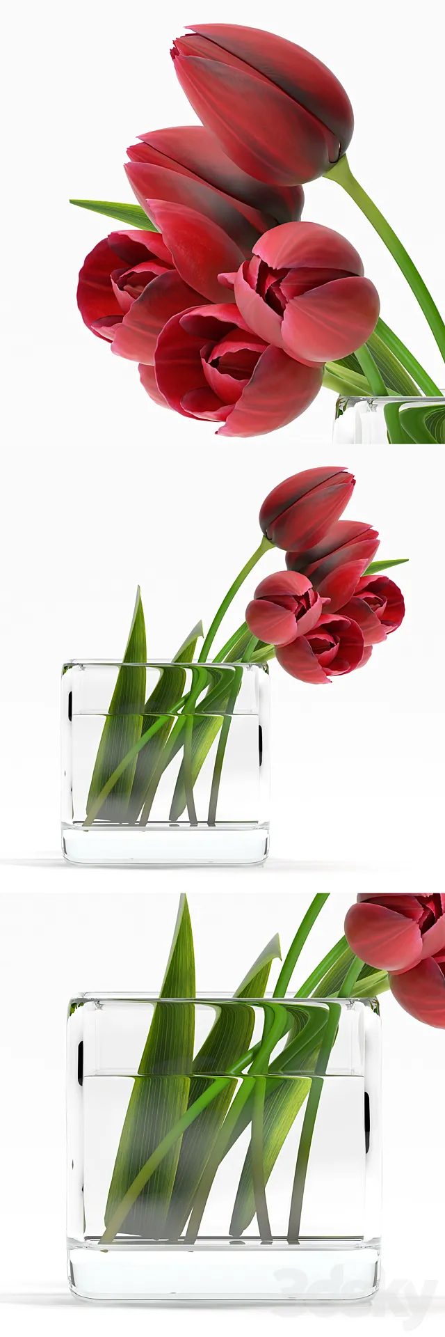 TULIP4 3ds Max