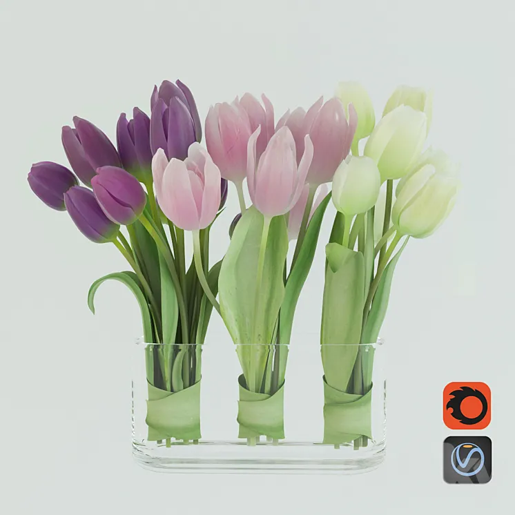 Tulips 3DS Max