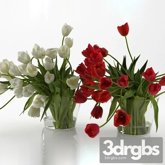 Tulips Bouquet 1 3dsmax Download