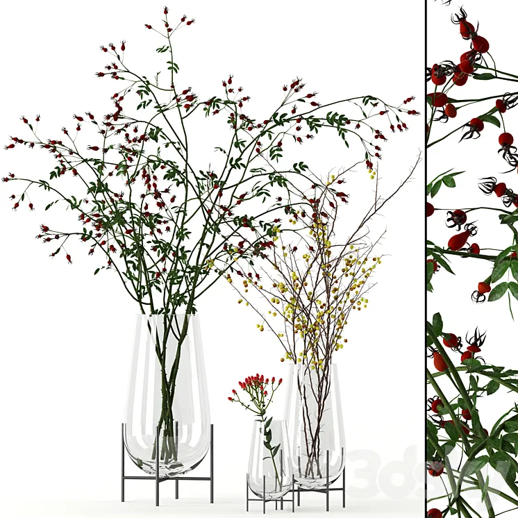Twigs in Echasse Vases 3DS Max
