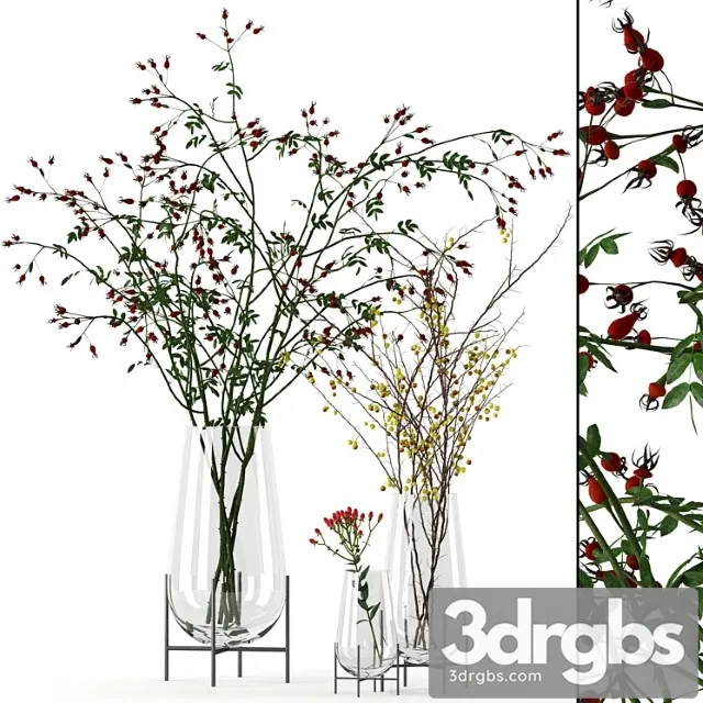 Twigs in echasse vases