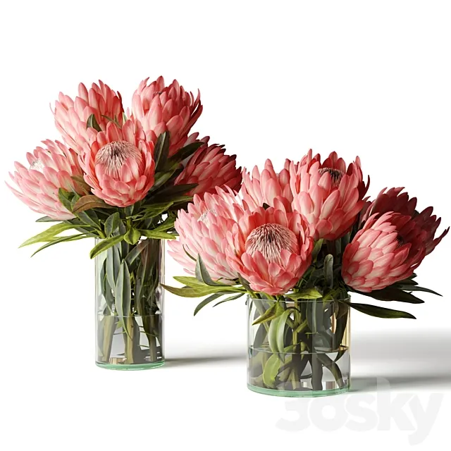 Two bouquets of proteas in glass vases 3ds Max