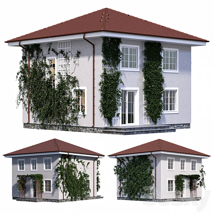 Two-storey house with ivy 3DS Max