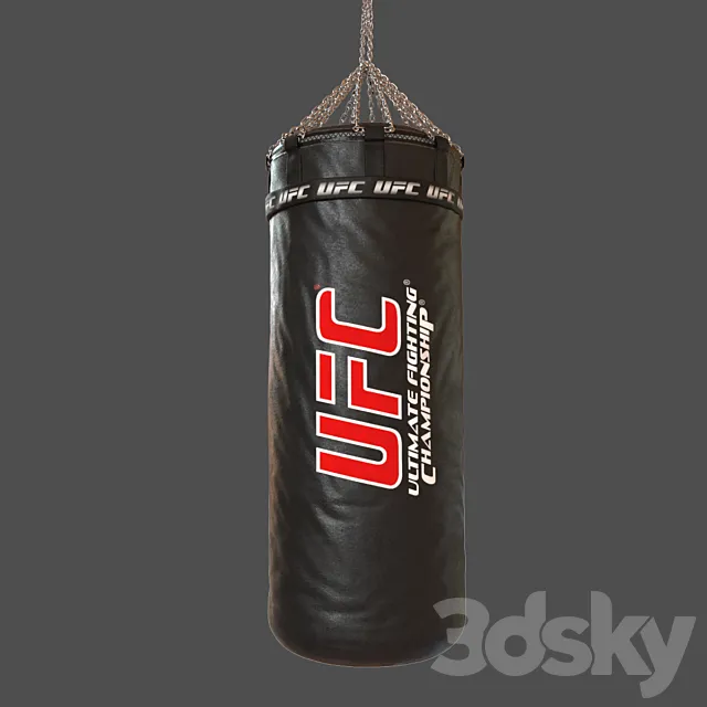 UFC Boxing Bag 3DS Max Model