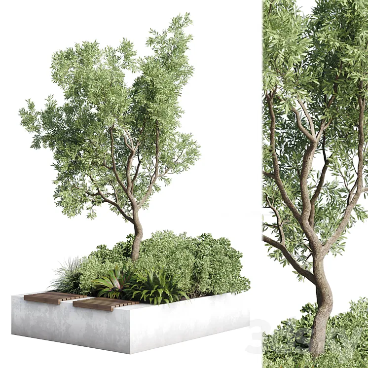 Urban Environment – Urban Furniture – Green Benches – Collection Plants and Tree 11 3DS Max Model