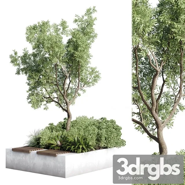 Urban environment – urban furniture – green benches – collection plants and tree 11