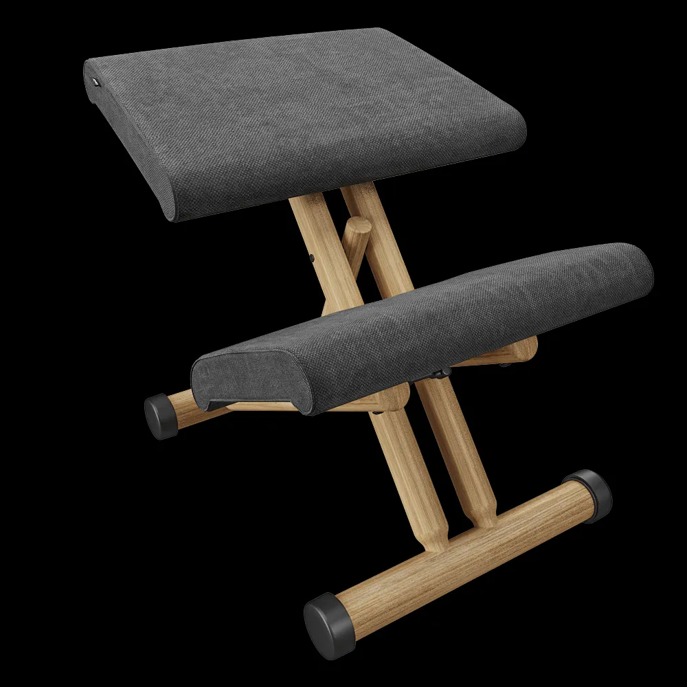 Varier – Chair Multi™ 3ds Max