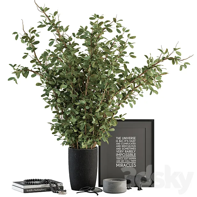 Vase and Plant Decorative Set – Set 119 3DSMax File