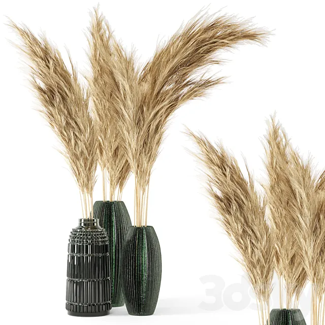 Vase Dry plants 22 – Dried Pampas in handmade vase 3ds Max