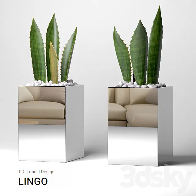 vase LINGO 3ds Max