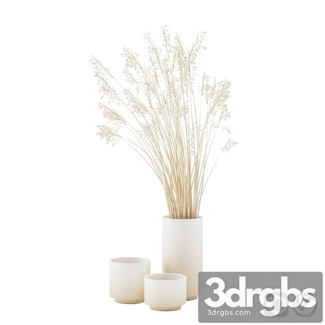 Vase set with dry grass