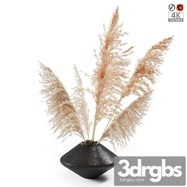 Vase with dried plants