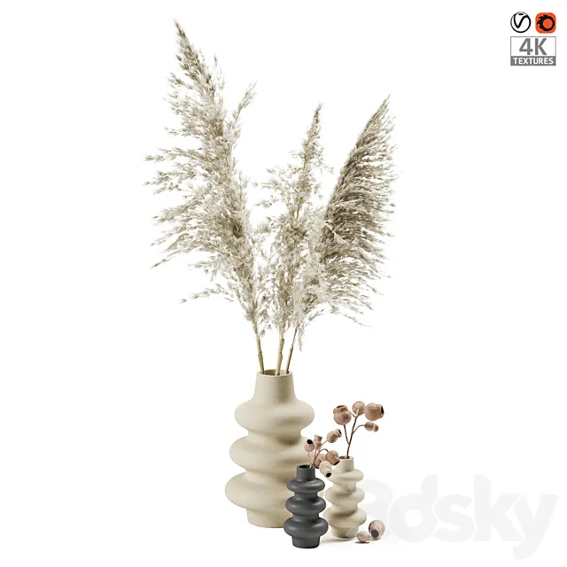 Vases with dried plants 3DSMax File
