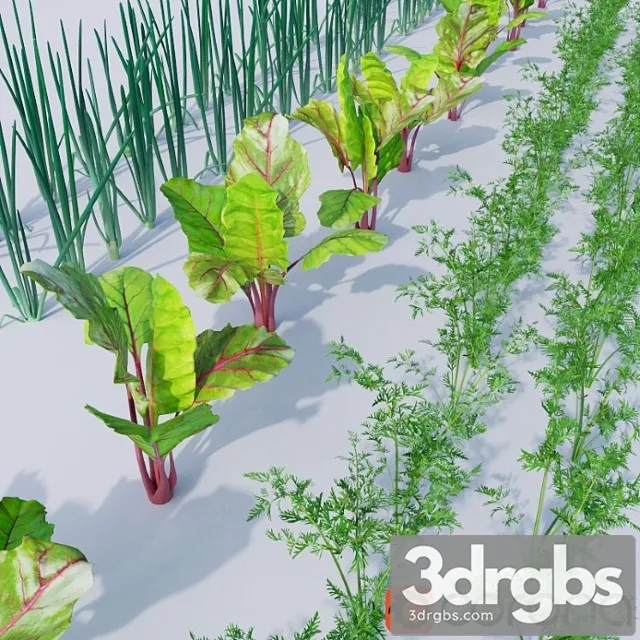 Vegetable Garden 1 3dsmax Download
