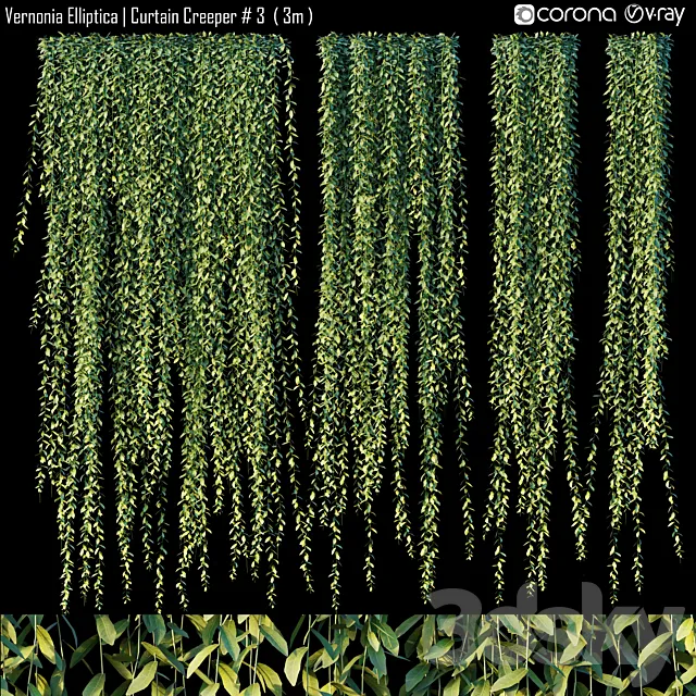 Vernonia Elliptica | Curtain Creeper # 3 (3m) 3DSMax File