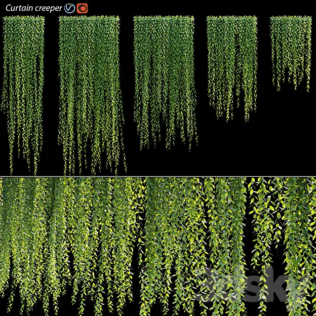 Vernonia Elliptica | Curtain creeper 3DS Max Model