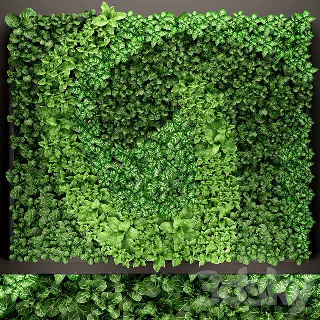 Vertical garden 14. vertical garden green wall phytomodule eco design picture of flowers plants on the wall 3ds Max