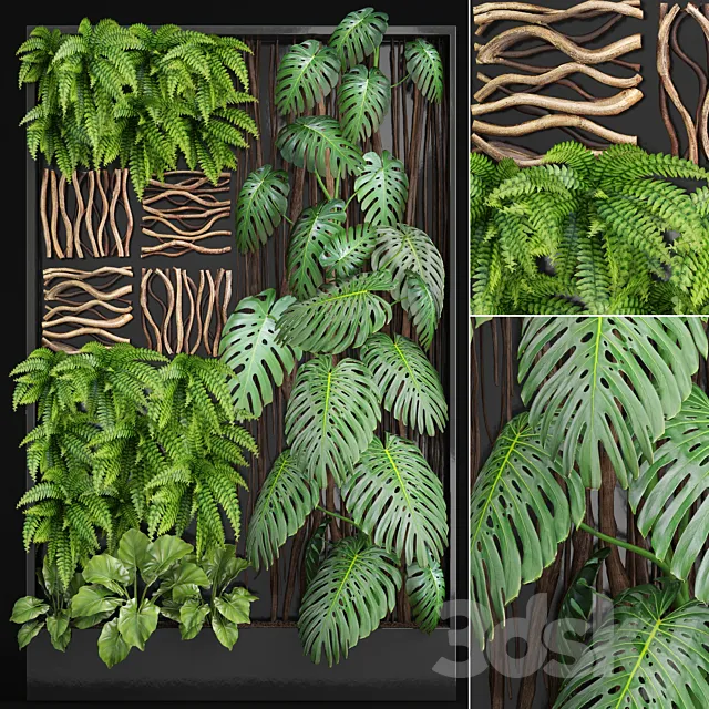 Vertical garden 2. Vertical garden phytowall phytomodl landscaping green picture bush wall decor branches monstera fern alocasia eco eco decor loft 3ds Max