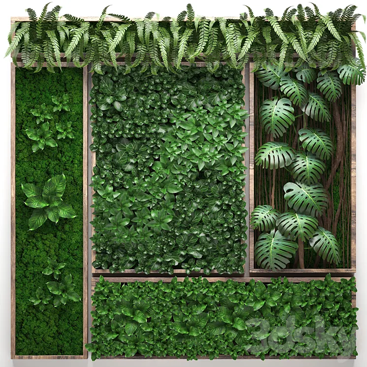 Vertical garden 22. Five separate modules landscaping phytowall phytomodule monstera fern eco design natural decor 3DS Max