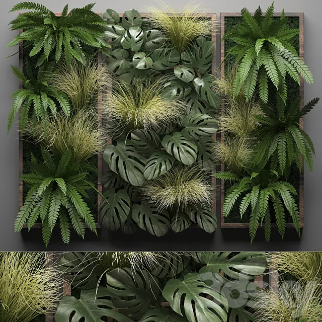Vertical garden 28. Phytowall. picture. grass. fern. monstera. wall decor. phytomodule. vertical garden 3DSMax File