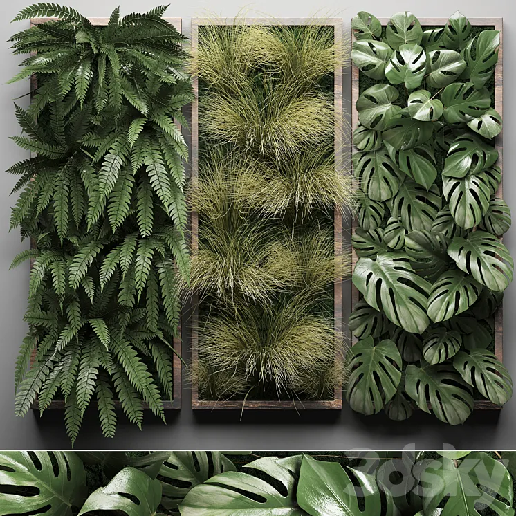 Vertical garden 29. Phytowall picture grass fern monstera wall decor phytomodule vertical garden 3DS Max