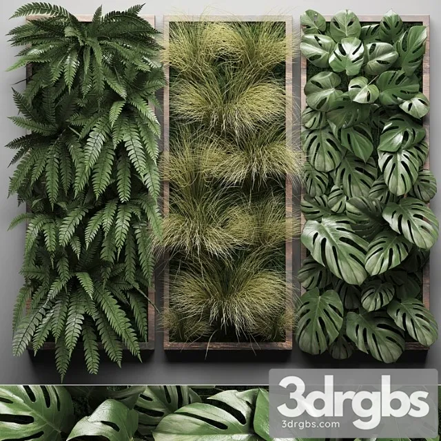 Vertical garden 29. phytowall, picture, grass, fern, monstera, wall decor, phytomodule, vertical garden